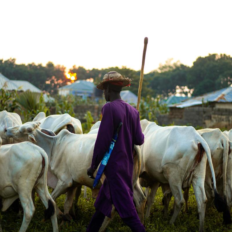 Pexels pexels by ardarh 664883754 33654810